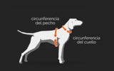 Non-Stop Dogwear - Line Harness 5.0 Verde