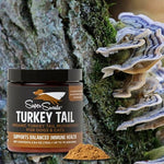 Turkey Tail hongo medicinal