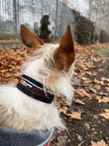 Non-stop Dogwear - Rock collar ajustable