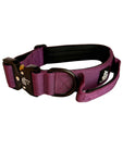 Collar Purple 4CM - WILDTOPDOGS