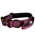 Collar Purple 4CM - WILDTOPDOGS