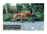 Non-stop Dogwear - Freemotion harness 5.0 para tracción