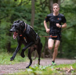 Non-stop Dogwear - Pack Canicross