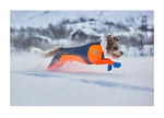 Non-stop Dogwear - Traje Protector Snow (macho)